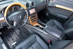 2009 Mercedes-Benz GL550 4Matic full